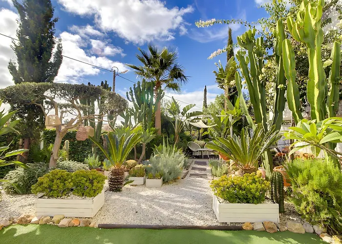 Rafa * 阿尔布费拉